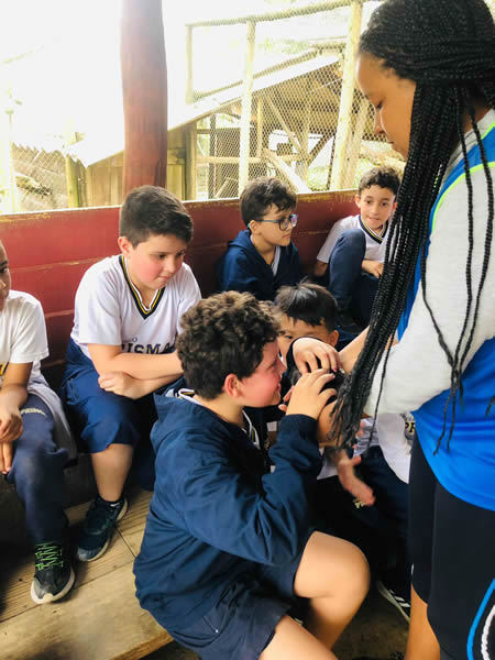 Bicho Mania 2022
